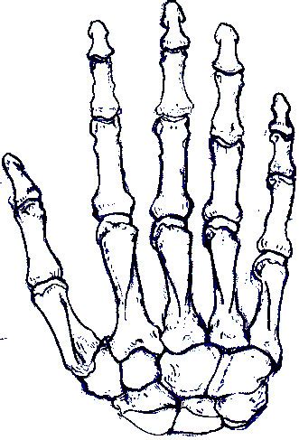 skeleton hand tattoo stencil - Clip Art Library