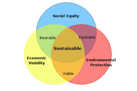 What is sustainability and why is it important? - Complex Creative