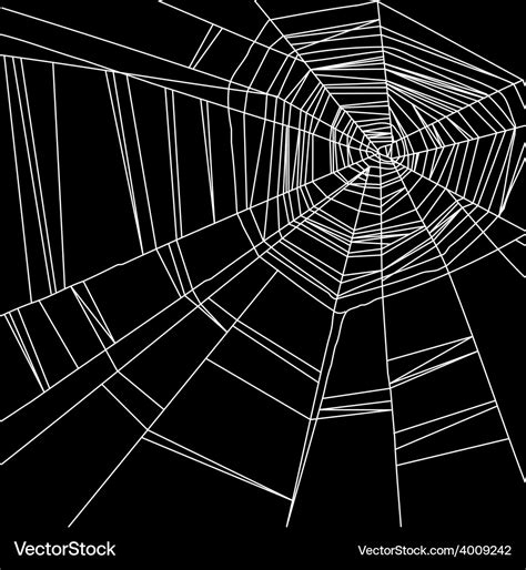 White spider web isolated on the black background Vector Image