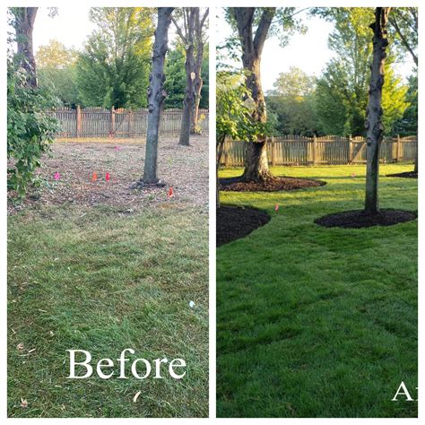 Drainage,pavers,sod,mulch and stone installation - Naperville, IL Patch