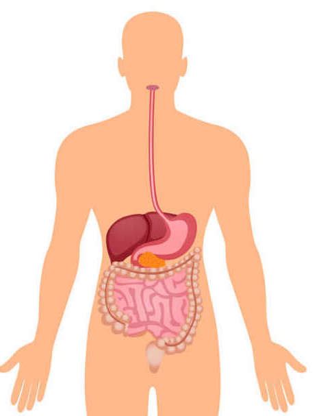 Where Is Gastric Pain Located