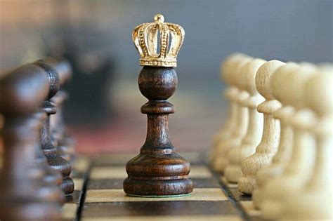 The French Defense: A Complete Guide to French Defense | Chess