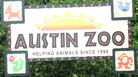 A Visit to the Austin Zoo - Austin Summer Fun