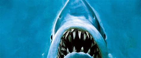 Jaws (Movie, 1975) - MovieMeter.com