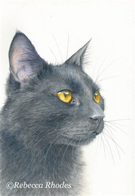 How to Paint a Black Cat in Watercolor - Rebecca Rhodes