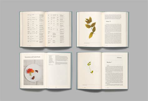 René Redzepi, Work In Progress: A Journal by Pentagram — BP&O