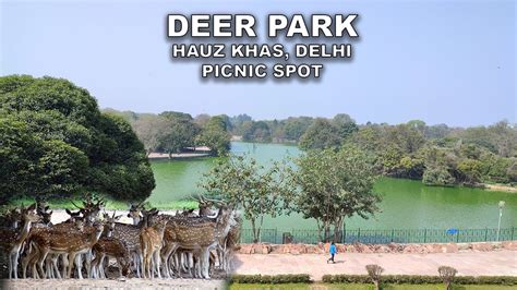 DEER PARK DELHI || HAUZ KHAS VILLAGE DELHI || HAUZ KHAS LAKE - YouTube