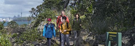 Rangitoto Summit Track | Auckland, New Zealand