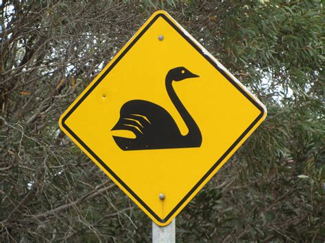 Black Swan Road Sign | Black Swan Road Sign on Kangaroo Isla… | Flickr