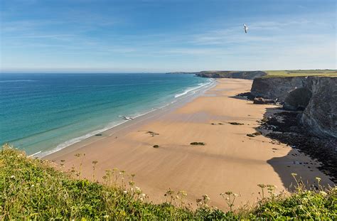 6 year round dog friendly beaches in Cornwall | Holidays in Cornwall