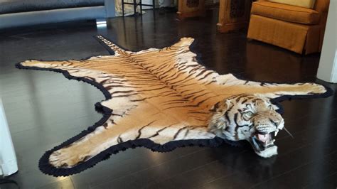 Antique Registered Taxidermy Tiger Rug Prior to Endangered Classification at 1stdibs