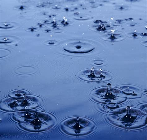 Rain drops on water photo - WP02303