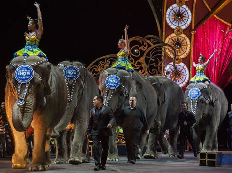 Ringling Bros. circus holds final shows featuring elephants | MPR News