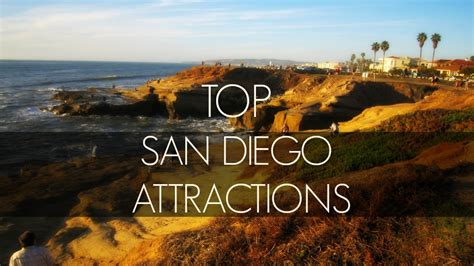 Top San Diego Attractions | Outside the Cage