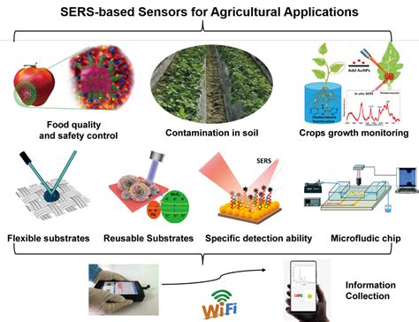 Review of SERS-based sensors for agricultural applications