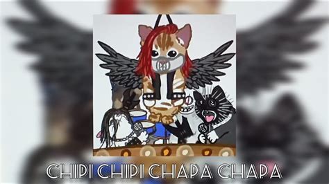 [Rock] – “ Chipi Chipi Chapa Chapa Dubi ” By Cristell | Cat Dancing ...