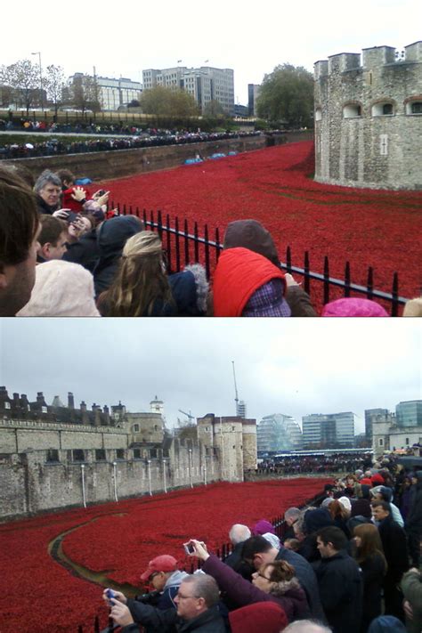 Tower of London Poppy Memorial [1] by DoctorWhoOne on DeviantArt