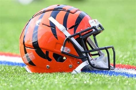 Cincinnati Bengals Helmet | Bengals, Cincinnati bengals, Nfl