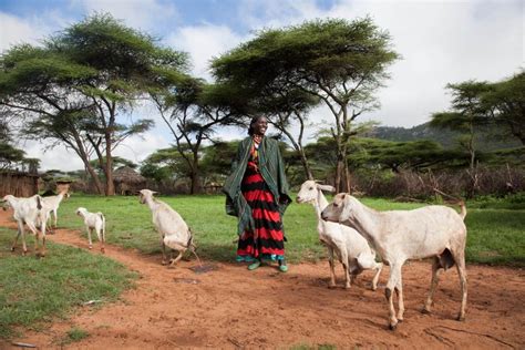 Women’s Empowerment in Livestock Index (WELI) | CGIAR GENDER Impact ...