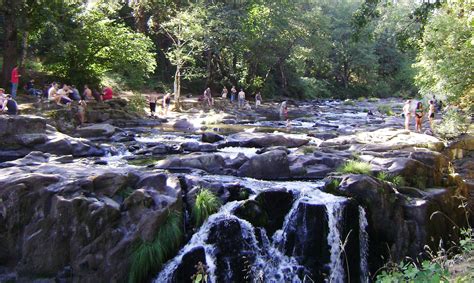 Late summer - Falls City Falls, Oregon | Falls city, Summer time blues, Places to visit