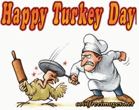 Turkey GIF - Find & Share on GIPHY