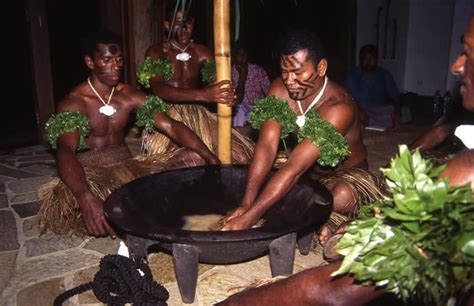 Kava | Fiji Guide The Most Trusted Source On Fiji Islands Travel