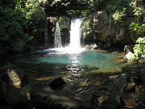 Vagrant Van in Mexico: Uruapan national park