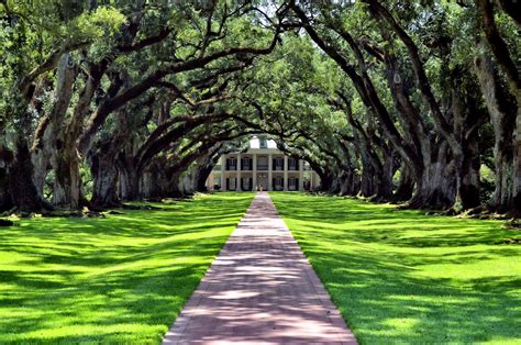 Room With No View: Oak Alley Plantation: An Iconic View (Part One)