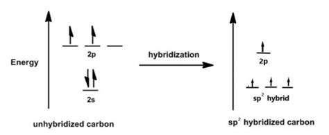 H2CO Lewis Structure, Molecular Geometry, Hybridization, and MO Diagram - Techiescientist