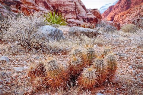 Nevada Landscape : r/natureporn