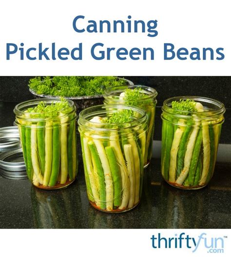 Canning Pickled Green Beans? | ThriftyFun