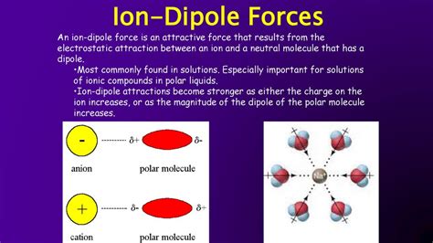 Ion Dipole Examples Of Molecules