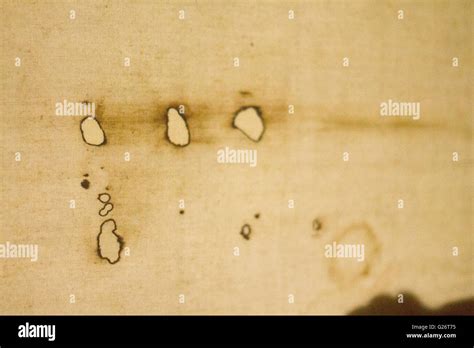 Replica of the Shroud of Turin Stock Photo - Alamy