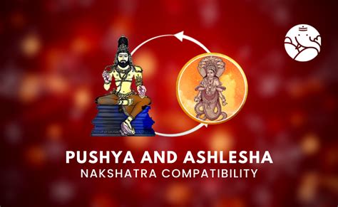 Pushya and Ashlesha Nakshatra Compatibility