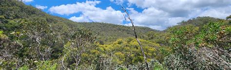 Mount Lofty via Pengana Track and Waterfall Gully Trail: 605 fotos - Australia Meridional ...