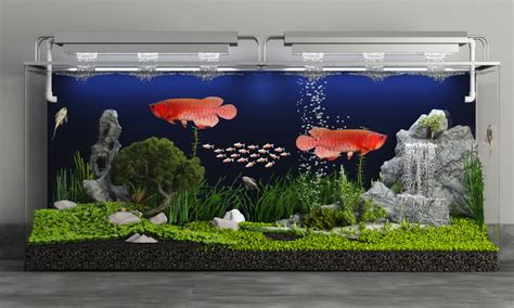 Arowana aquarium by tranduyhieu | 3DOcean