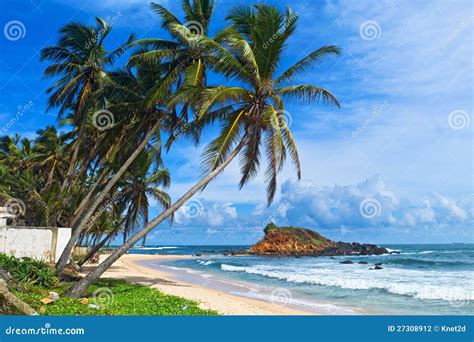 Mirissa beach stock photo. Image of calm, idyllic, coast - 27308912