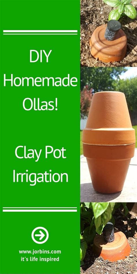 Do ollas (clay watering pots) work for garden irrigation? They sure do! Learn all about my ...