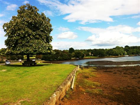 New Forest National Park by Starchild9390 on DeviantArt