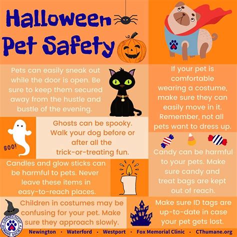 Halloween Pet Safety Tips – Connecticut Humane Society