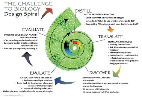 Biomimicry Principles