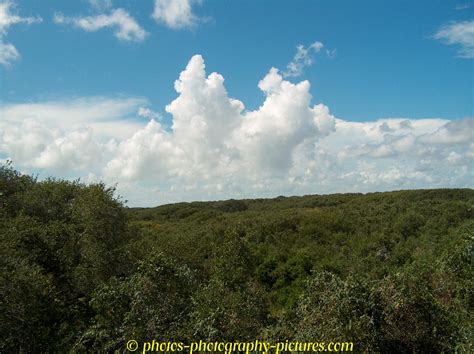 aransas wildlife refuge september 2004 7