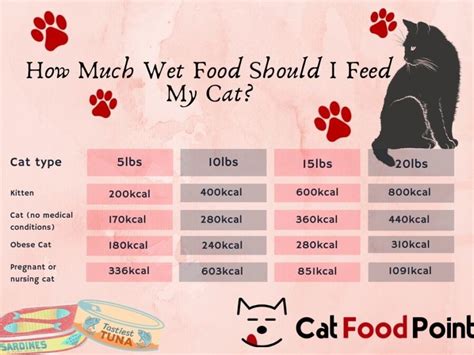 Wet Cat Food Low Calorie at Jaime Mathieu blog