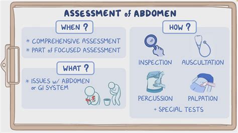 Assessment of Abdomen - Osmosis Video Library