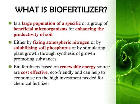 PPT - BIOFERTILIZER PowerPoint Presentation - ID:5876066