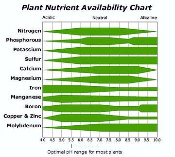 Understanding pH in Hydroponics – Part No.2 – Science in Hydroponics