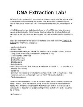 Dna Extraction Lab Report Discussion