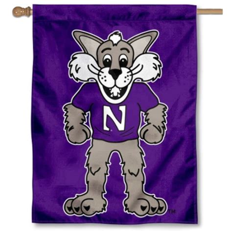 Download High Quality northwestern university logo mascot Transparent ...