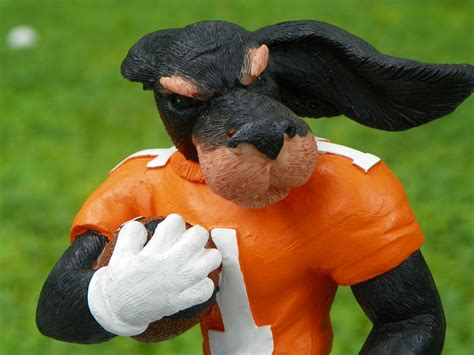 `Smokey~ Tennessee Football | Tennessee Vols Mascot | Flickr