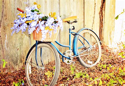 Antique Bicycle - Southern Elegance Vintage & Specialty Rentals